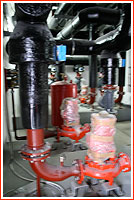 ELA-1 plumbing