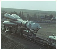 rollout